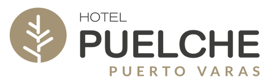 Logo de Hotel Puelche