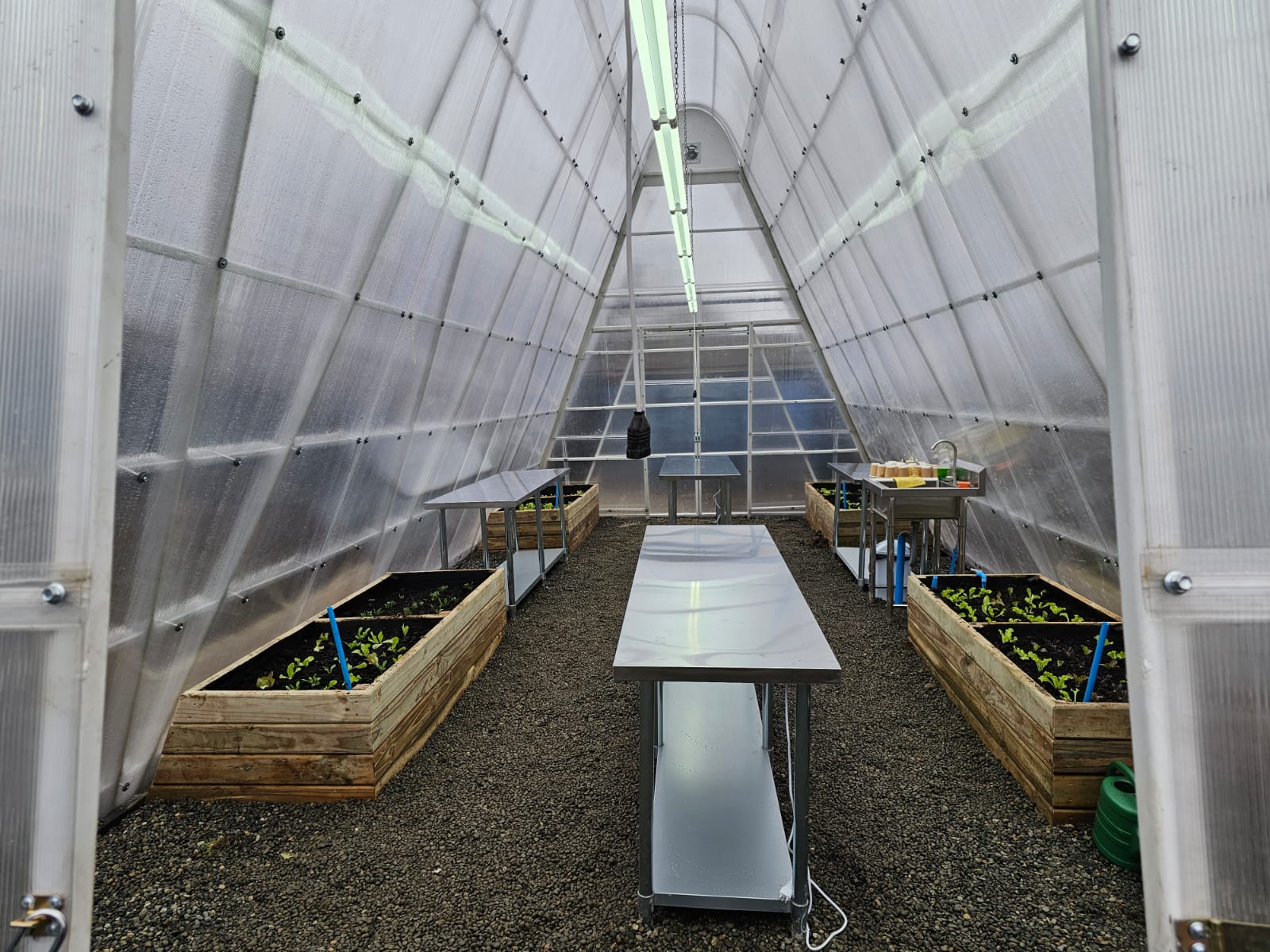 Interior del invernadero del Patio Vivo Cultivable, con cajones de cultivo con plantines a ambos lados y mesas de trabajo