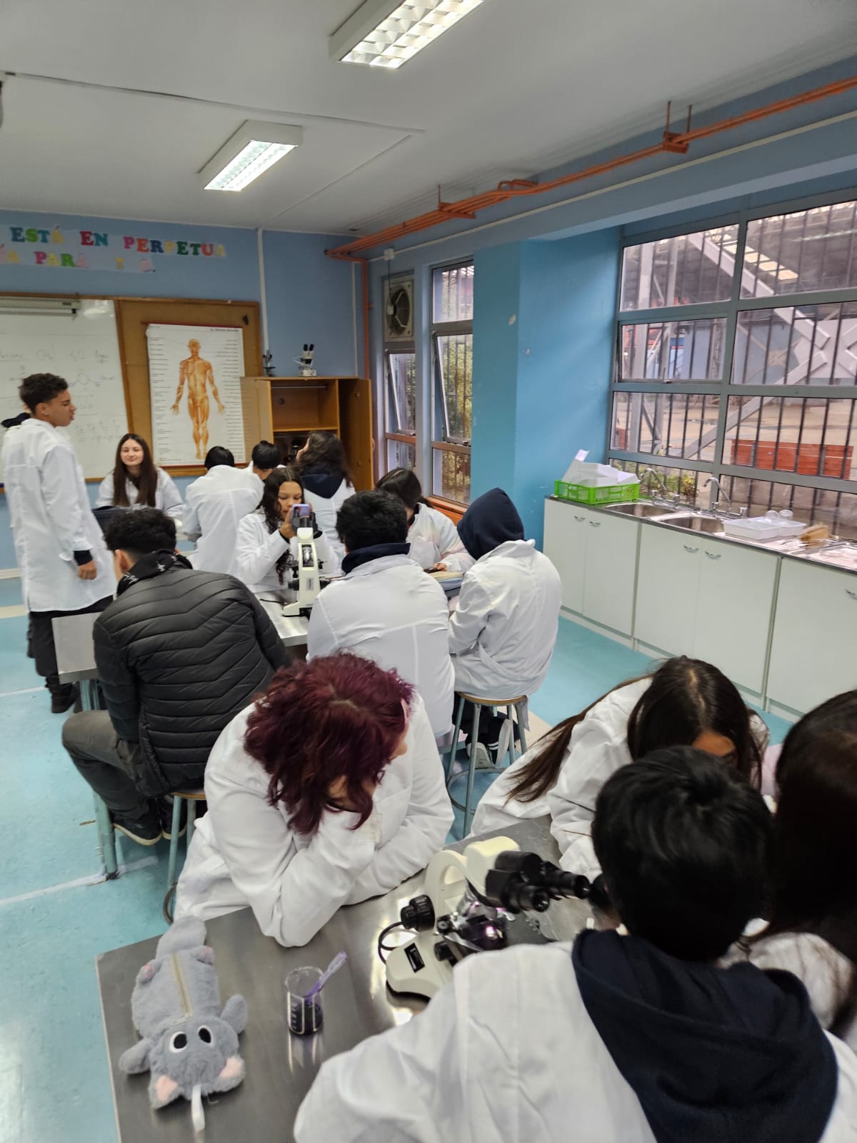 Estudiantes trabajando con microscopios en la sala de laboratorio del liceo