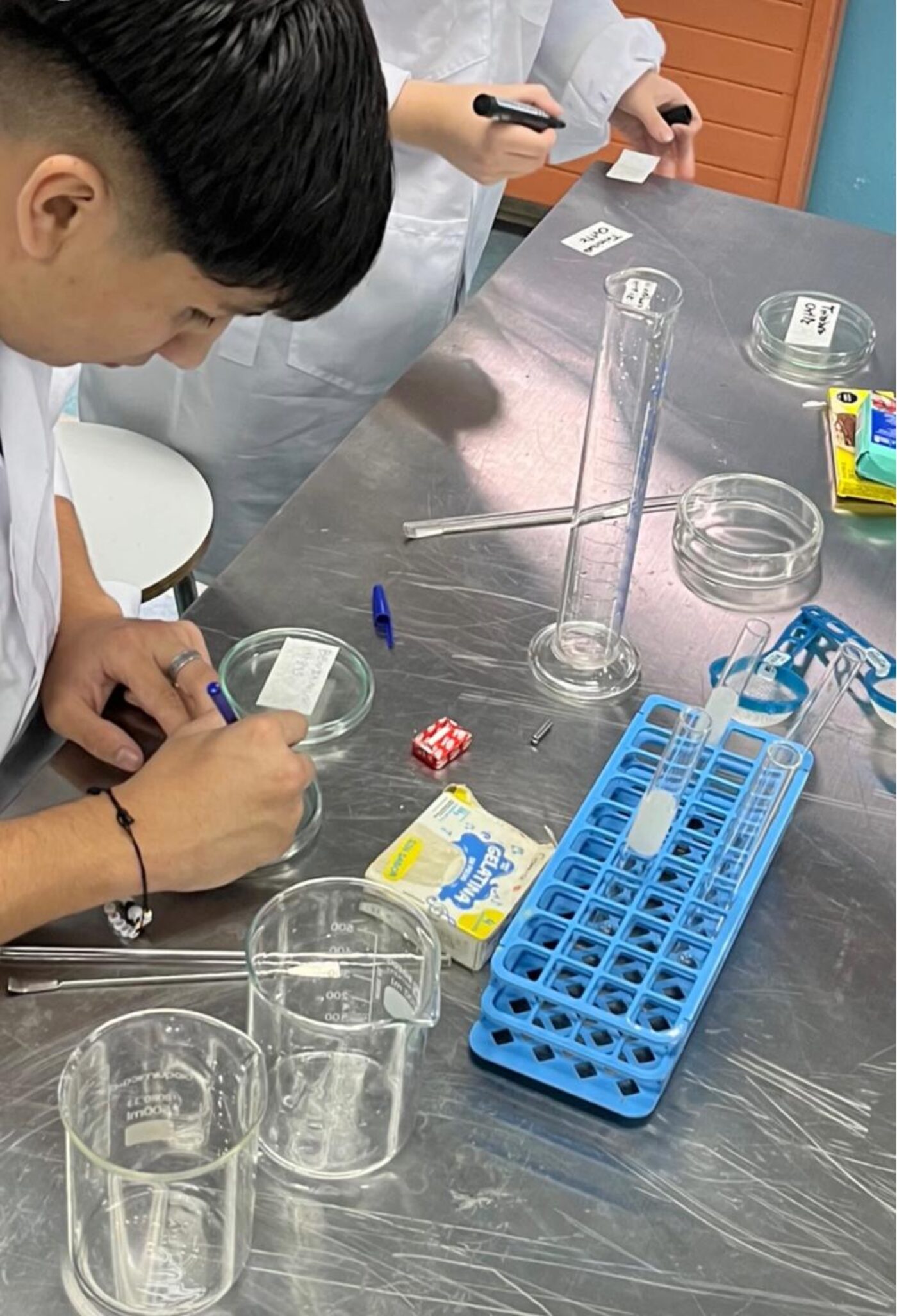 Estudiantes etiquetando muestras durante una actividad del taller de ciencias