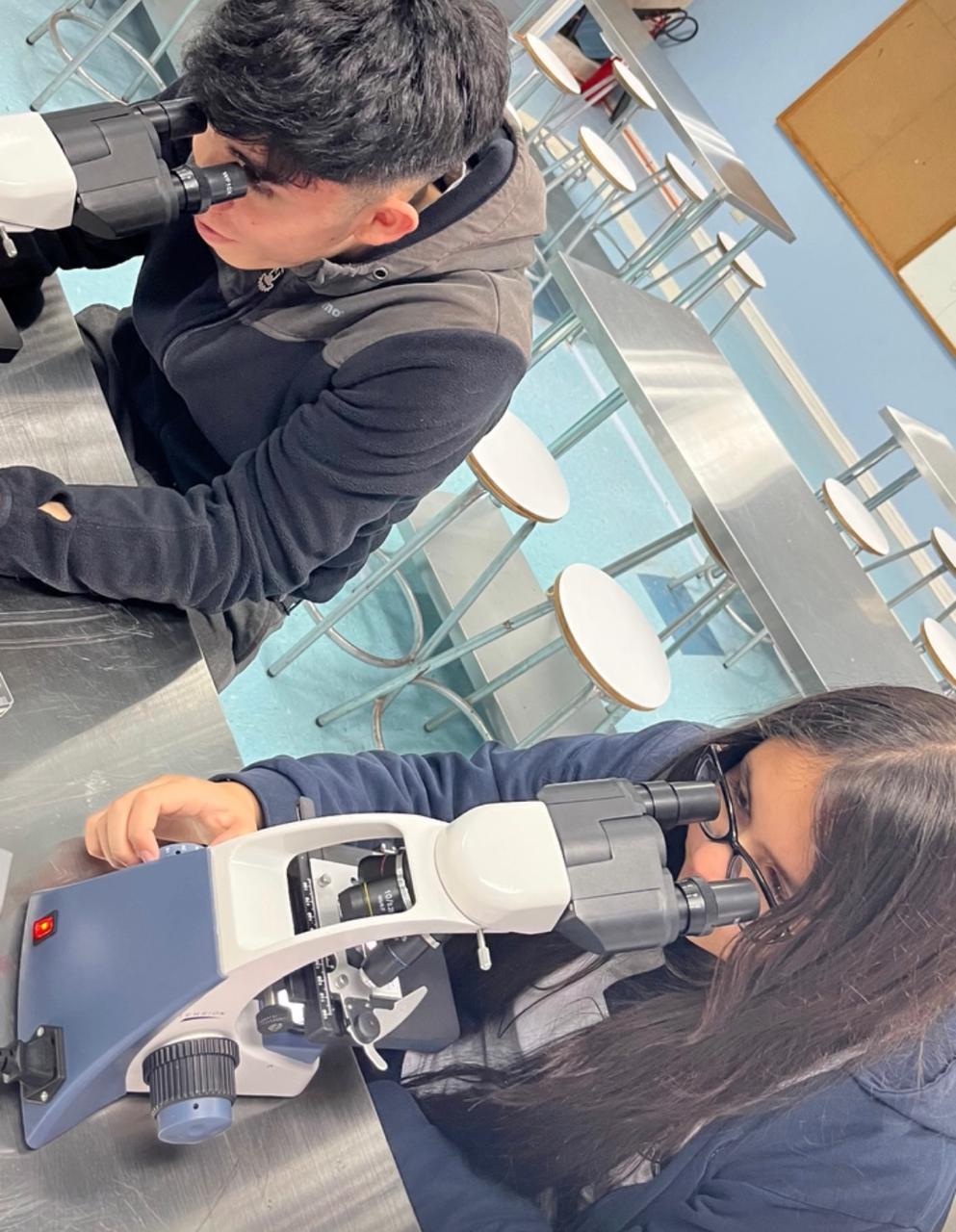 Dos estudiantes usando microscopios en el taller de ciencias